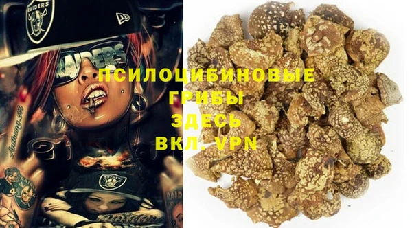 spice Бронницы